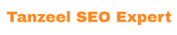 Tanzeel SEO Expert